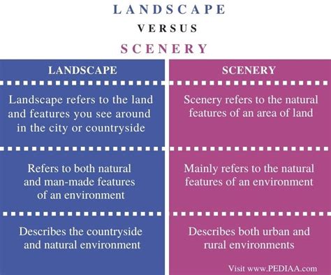 sceneryとviewの違い：風景と視点の織りなす世界